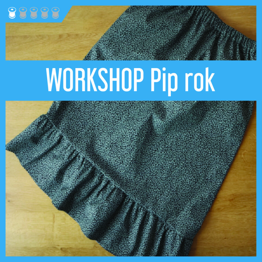 Workshop Pip rok